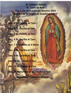 Novena De la Virgen de Guadalupe